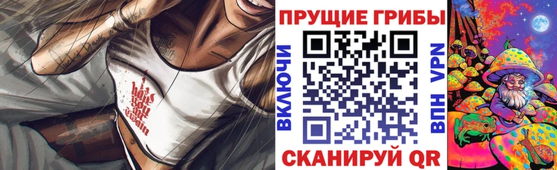 OMG ссылка Невьянск Псилоцибиновые грибы GOLDEN TEACHER